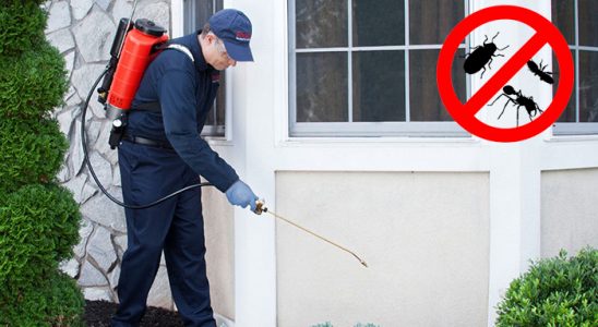 Akpınar Hamam Böceği İlaçlama böcek ilaçlama ve haşere kontrolü — ilaclama-tr.com